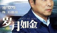 岁月如金电视剧在线观看,重温经典，共鉴时光流转