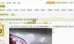 奇葩活动爆料视频下载网站,一网打尽奇闻异事