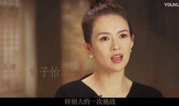 爆料周迅章子怡视频在线观看,在线观看引发热议